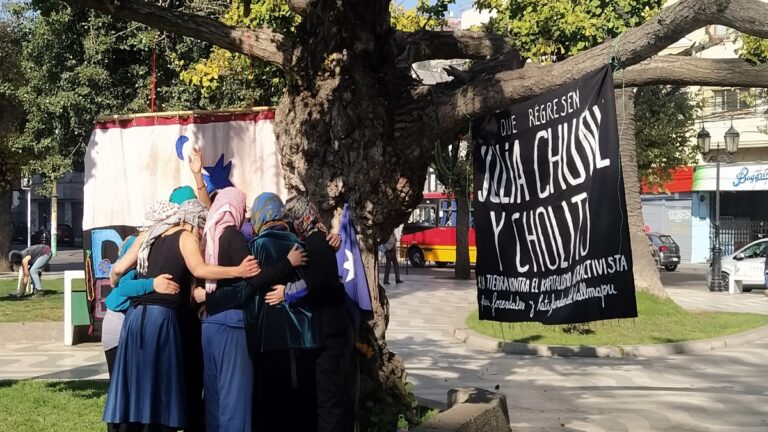 Exigen justicia en Chile tras siete meses de desaparición de lideresa mapuche Julia Chuñil 1 chile protesta julia chunil foto radio primero de mayo 768x432 1