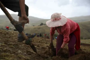 peru1 768x512 1
