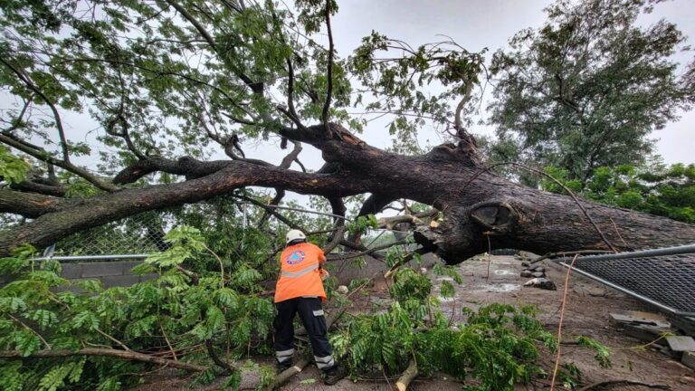 Naciones centroamericanas impactadas por intensas precipitaciones 1 El salvadorrr