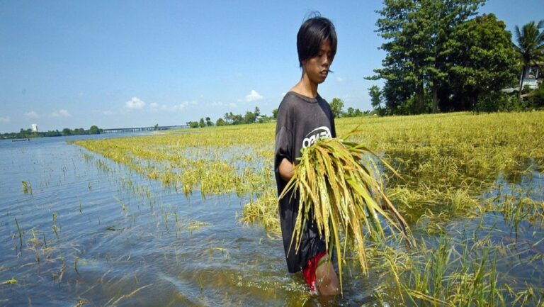 OMM prevé que fenómeno de La Niña inicie en este 2024 1 LA Nina