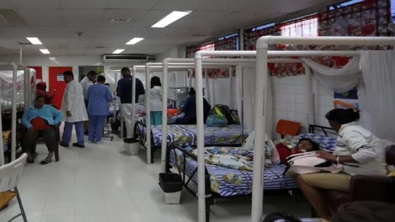 Suben a 30.000 los casos de dengue en Honduras durante 2024 1 honduras