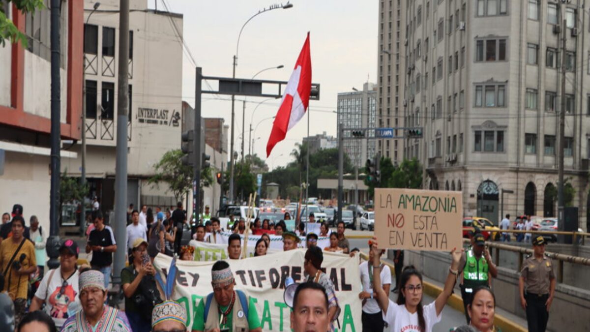 Indígenas convocan a protesta contra el Congreso y el Ejecutivo en Perú 3 peru 2