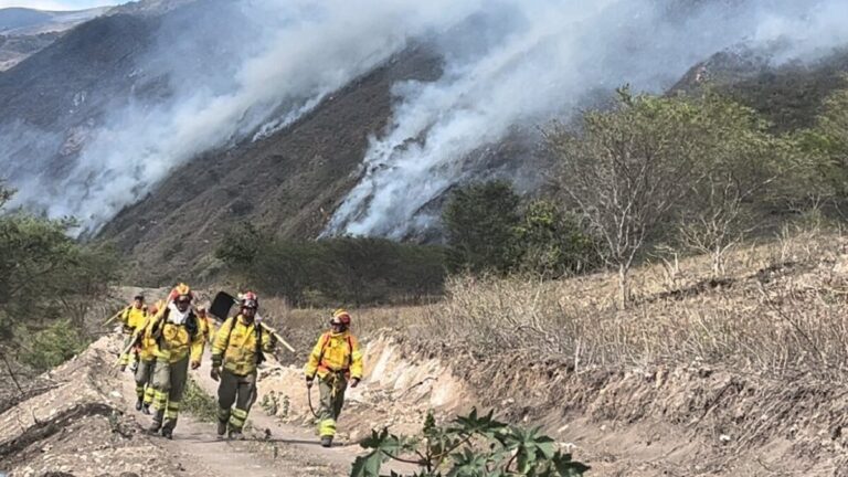 Extinguen incendio forestal originado en Los Andes de Ecuador 1 90 1