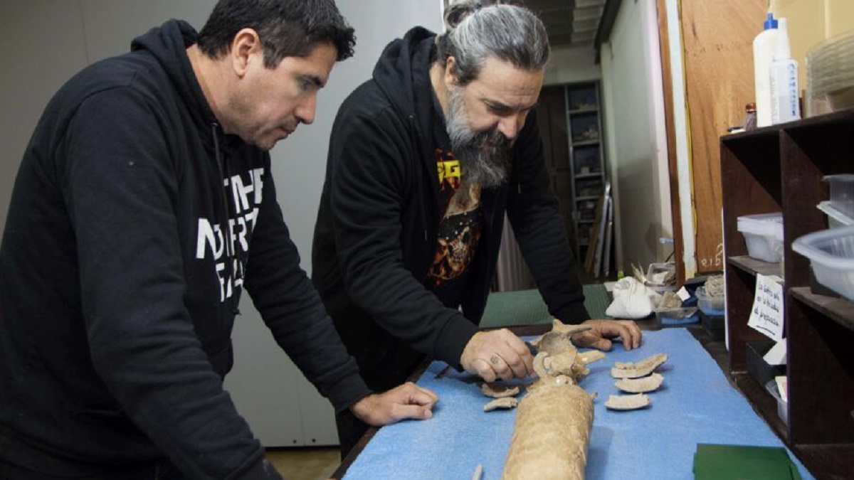 Cientificos de la UNLP descubren el registro de presencia humana mas antiguo de Sudamerica 2