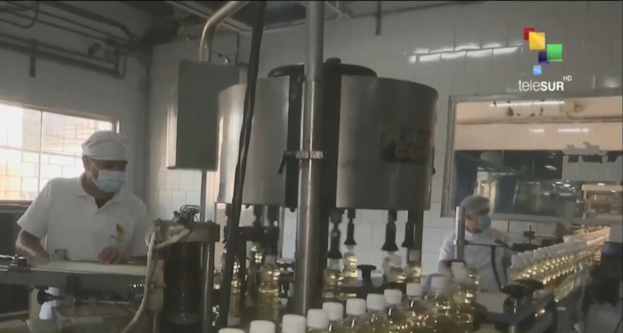 Grasaca produce aceite y empleo en Anzoátegui, Venezuela 1 Venezuela En Movimiento01
