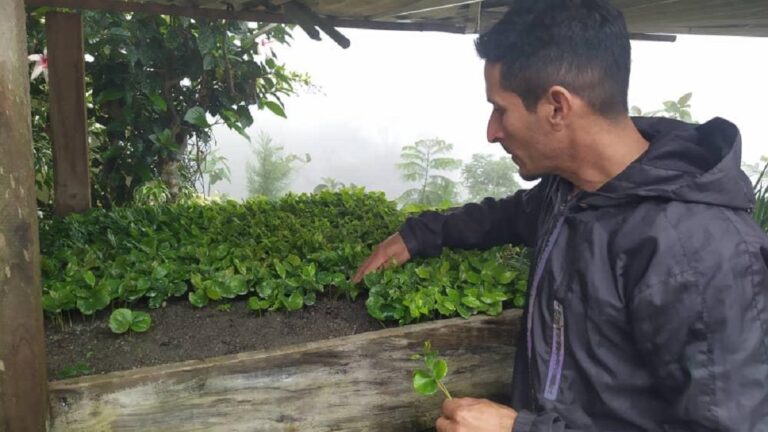 Venezuela en movimiento