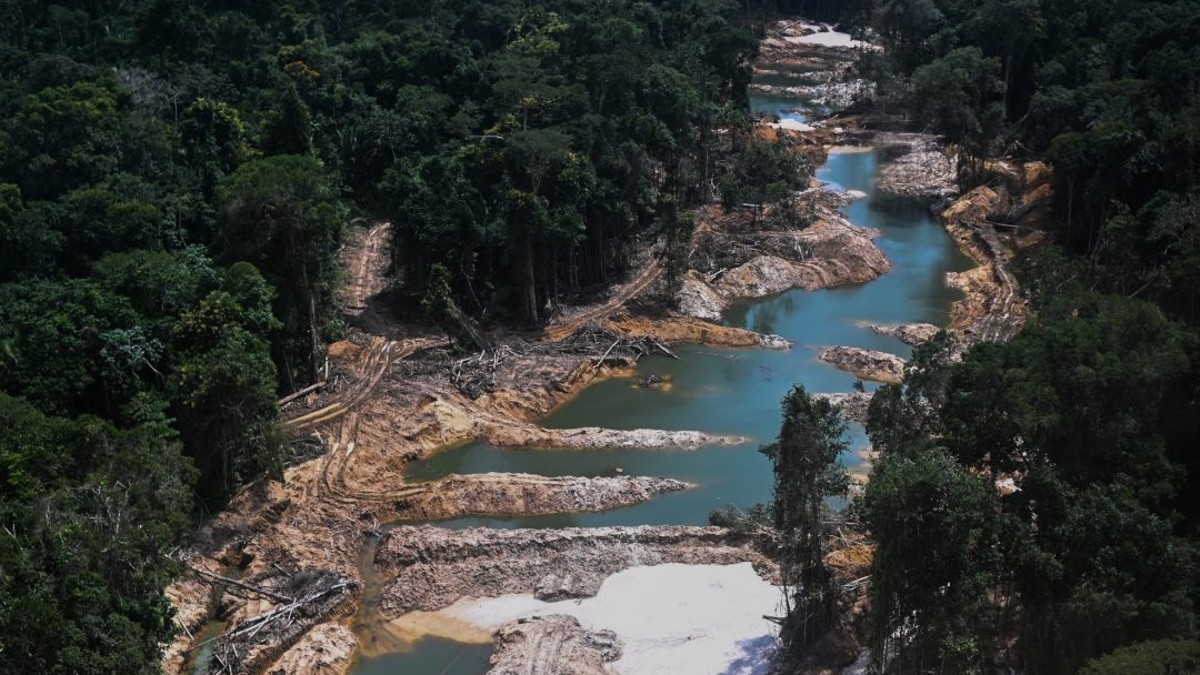 amazonia 1