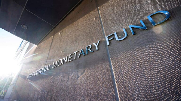 FMI eleva a 3,5% la caída proyectada para el PBI de Argentina en 2024 1 fmi