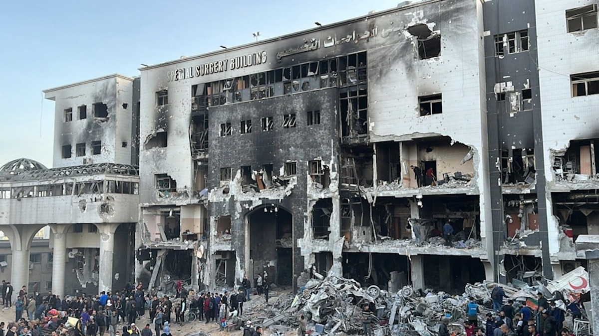 palestina 6