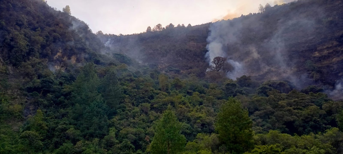 4.600 hectáreas se han calcinado por incendio en el sur de Ecuador 3 @Riesgos Ec