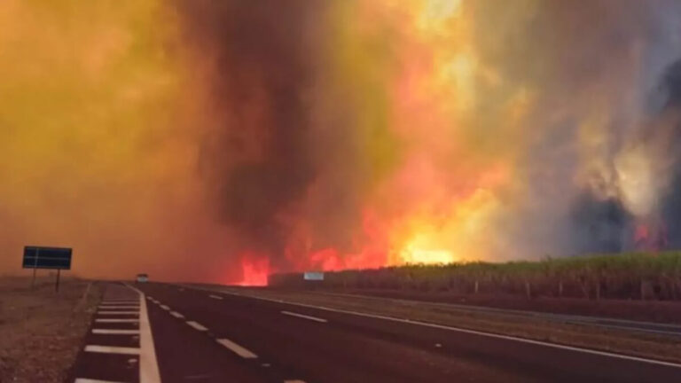 Autoridades brasileñas afirman que incendios en el estado de Sao Paulo fueron apagados 1 Brasil Incendios twitter