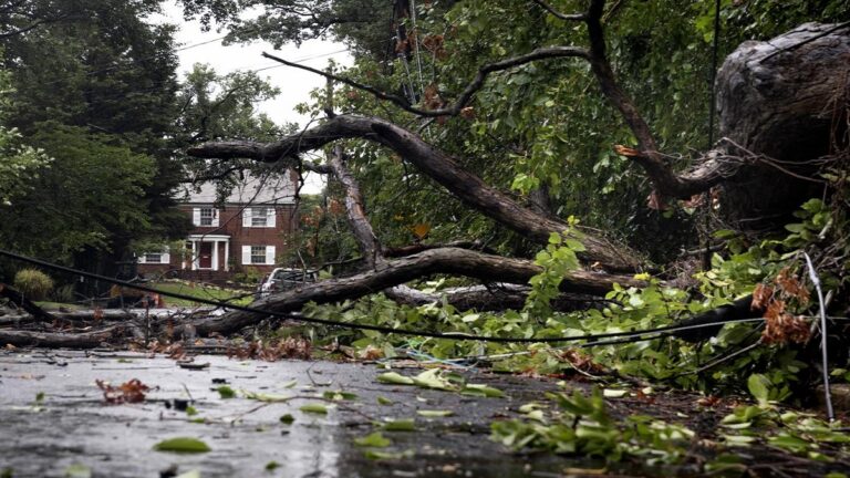 Tormenta tropical Debby deja al menos siete muertos tras su paso por Estados Unidos 1 DebbyEFE1