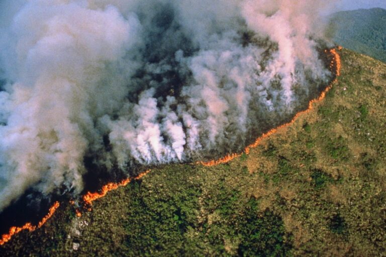 Aumenta mancha de fuego en la Amazonía 1 ECjrnFwW4AAOcya 1