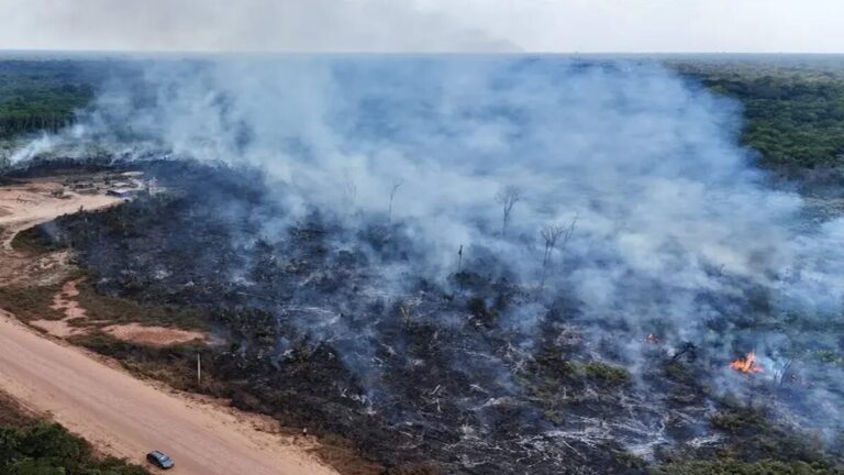 Sao Paulo declara emergencia ante expansión de incendios en Brasil 1 brasil incc