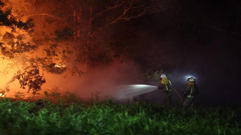 Autoridades turcas dan por controlados incendios forestales en Esmirna 1 incendio forestal turco