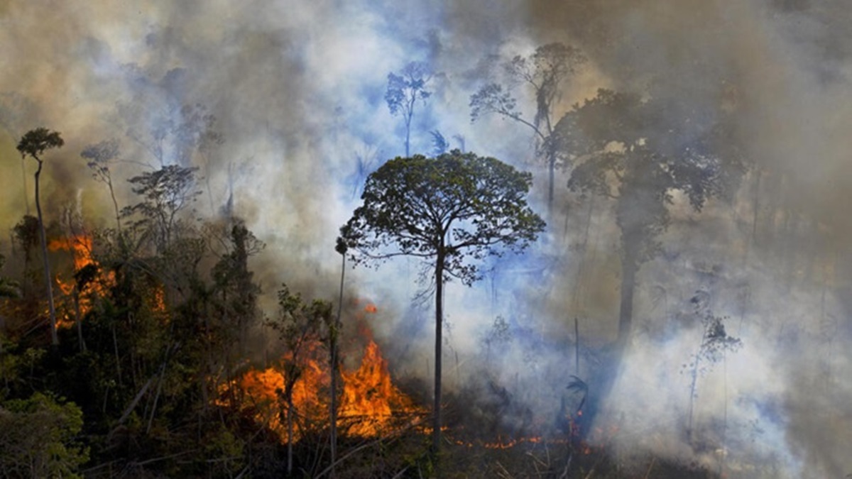 incendios Brasil