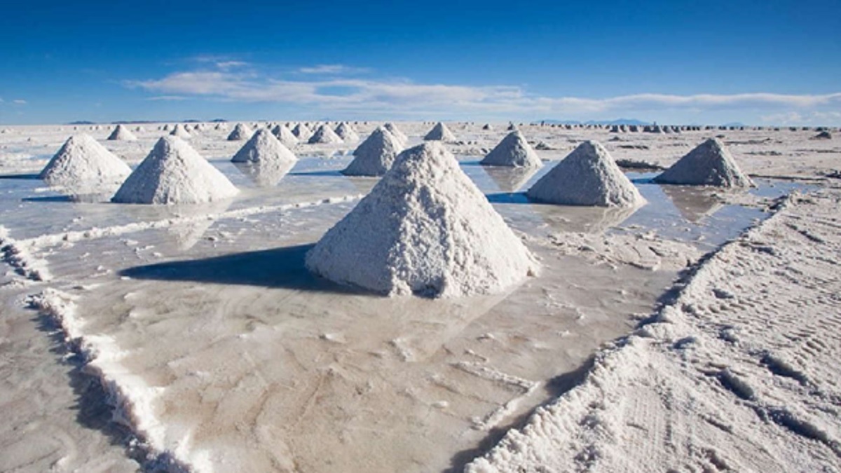 Bolivia da un paso histórico con Rusia en la explotación del litio en Uyuni 5 Bolivia 2
