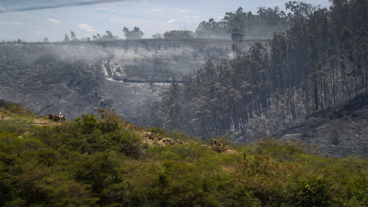 Ecuador Incendios EFE