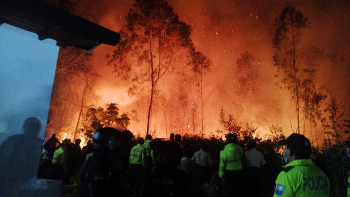Controlan algunos focos de incendios forestales en Quito, Ecuador 7 Ecuador incendios