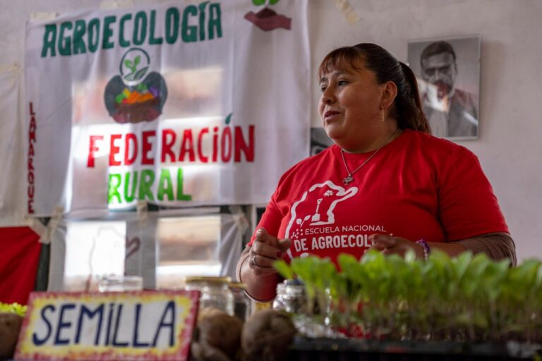 Denuncian que más de 15.000 productores agropecuarios en La Plata, Argentina, corren riesgo de desaparecer 1 Imagen de WhatsApp 2024 09 09 a las 10.35.57 5b2411db