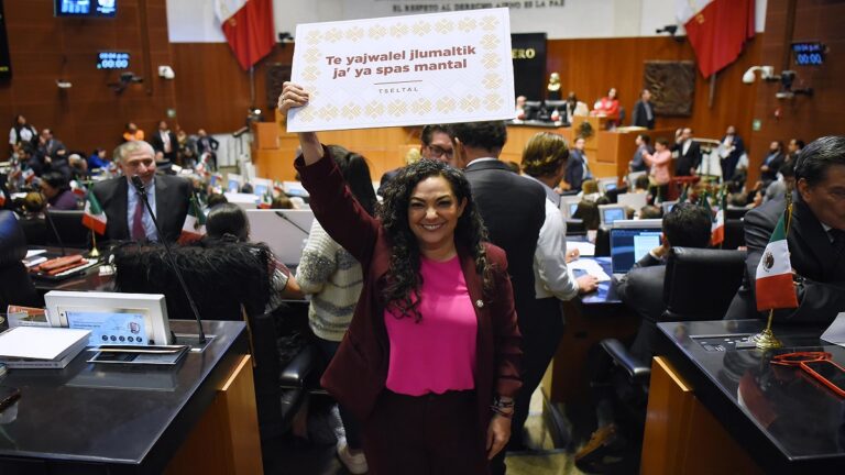 Mexico Indigenas Senado