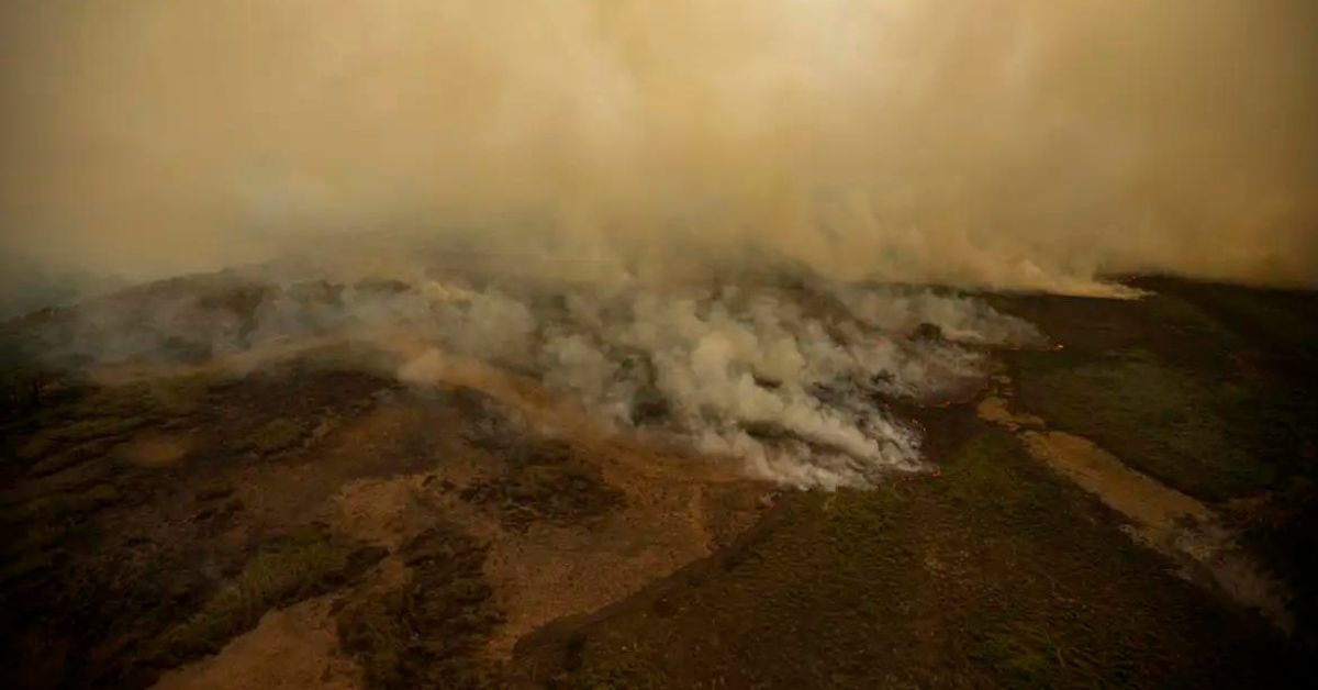 Aumento de temperatura dispara probabilidad de incendios forestales en Ecuador 2 NO2 amazonia pantanal Credito Joedson Alves Agencia Brasil