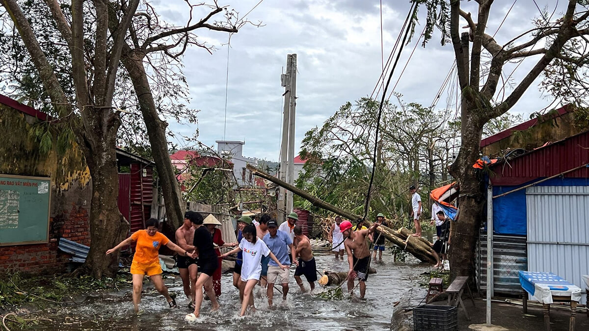 Vietnam Tifon Yogi 1