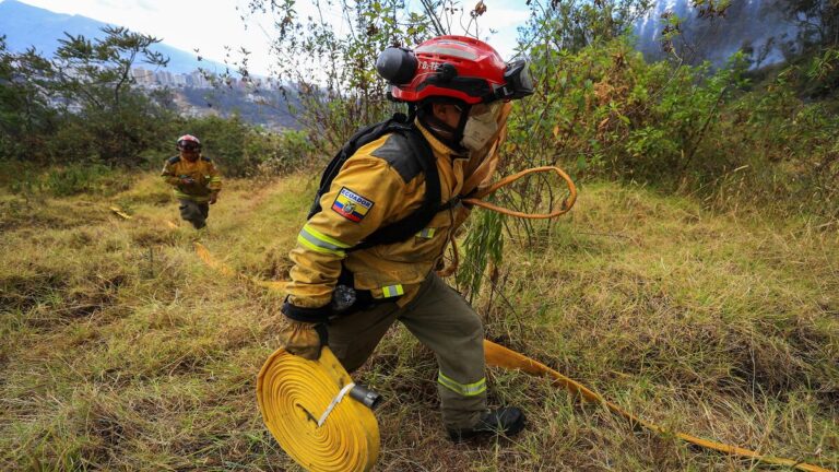 Fiscalía ecuatoriana inicia investigaciones por incendios forestales 1 lilo