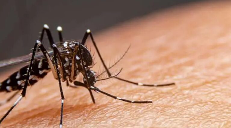 Pacientes con dengue en Costa Rica duplican cifra registrada en 2023 1 mos