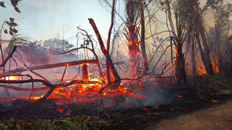 Bolivia continúa enfrentamiento a incendios en 15 municipios de La Paz, Santa Cruz y Beni 1 q