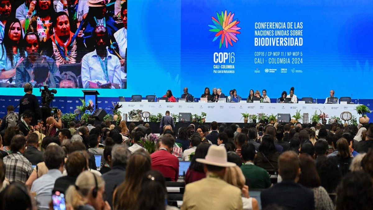 COP16: Conservación de la Biodiversidad como clave para el desarrollo sostenible 9 COP16