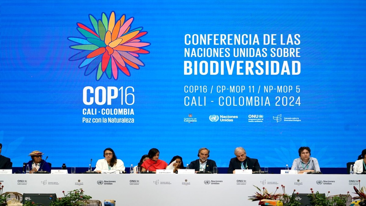 COP16 aprueba acuerdo para resguardar áreas marinas de importancia ecológica 2 COP16