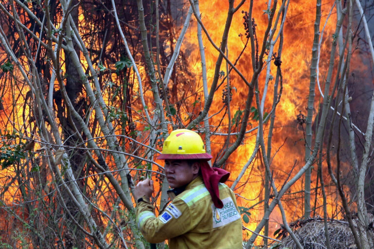 Incendios forestales devastaron 9,8 millones de hectáreas en Bolivia 1 EFE 1
