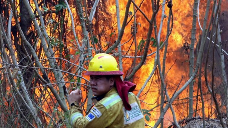 Bolivia controla al menos el 90 por ciento de los incendios en Santa Cruz 1 bo