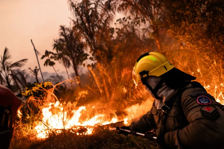 Aumentan los incendios forestales en Suramérica 1 incendios suramerica3