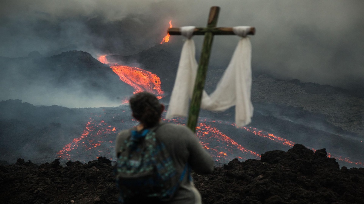 COP16 alerta que los países en desarrollo están atrapados en una crisis de deuda y cambio climático 8 naturaleza