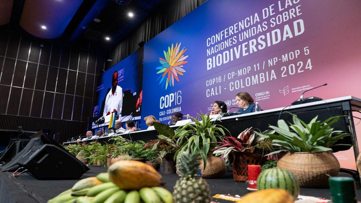 Venezuela participa en la COP16 en Colombia 6 venezuelaaa