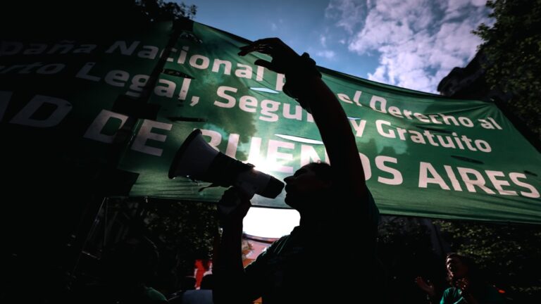 25N: Movimiento feminista argentino marchó contra las políticas de Milei 1 Argentina marchass