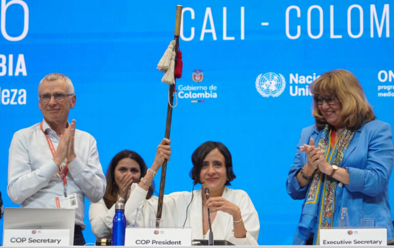 Culmina la COP16 en Cali, Colombia 1 Colombia COP termina01