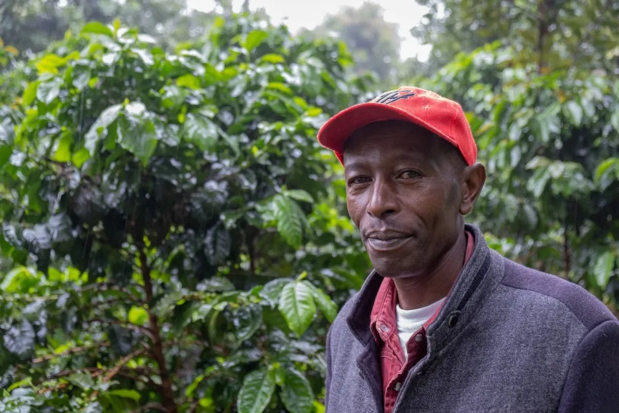 Pobladores de Kenia luchan contra los transgénicos 6 agricultura kenia 1