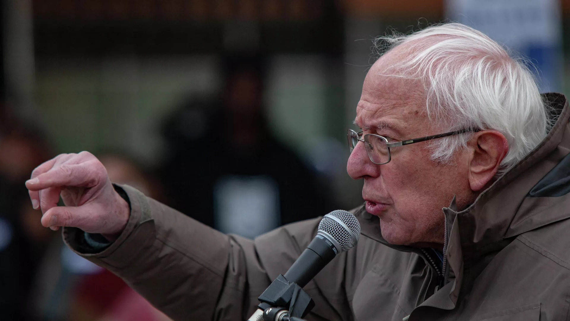 bernie