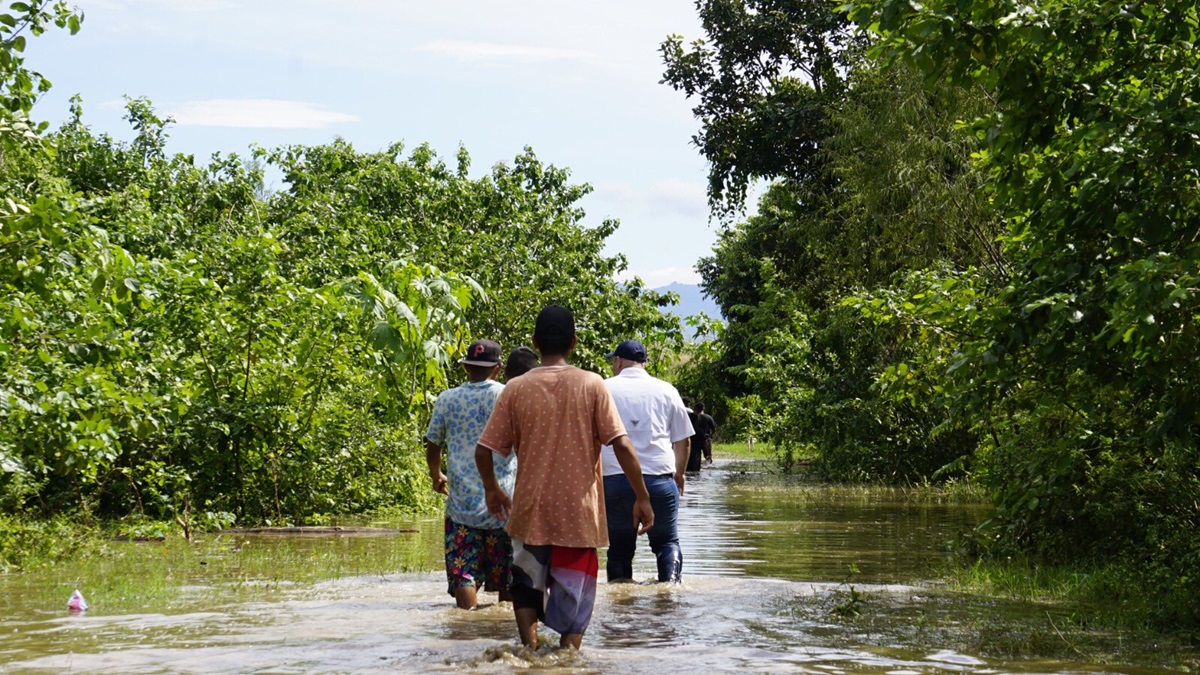 Honduras: Suman cuatro los muertos tras paso de Sara 1 honduras tormenta Sara