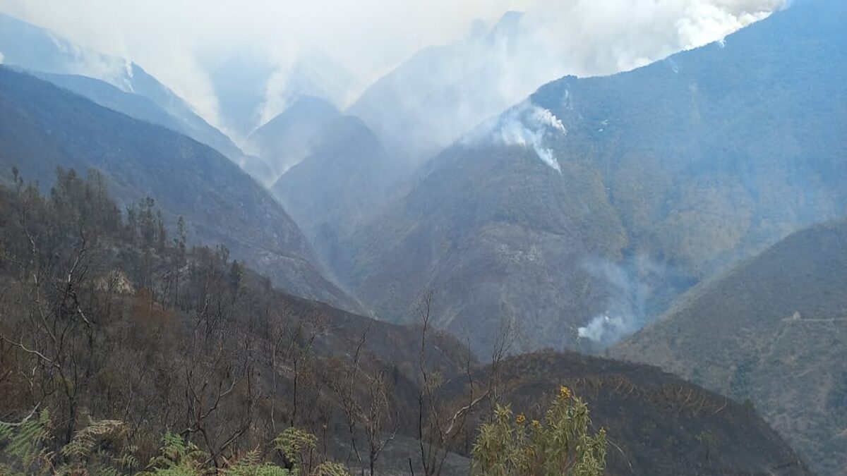 incendios forestalesss