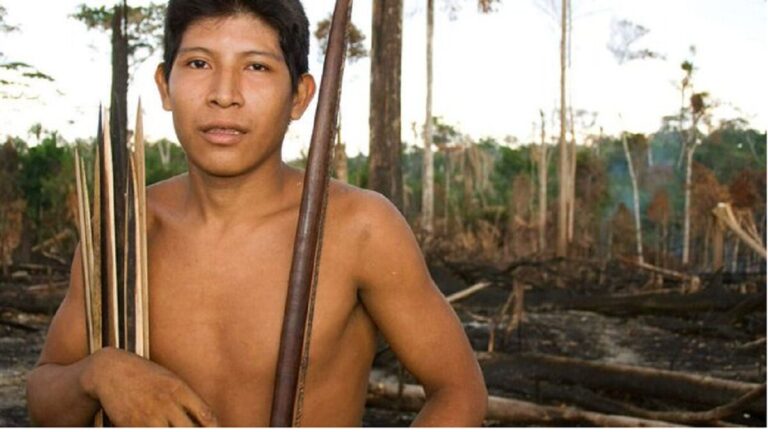 Brasil destina fondos para enfrentar la sequía en tierras indígenas 1 papa