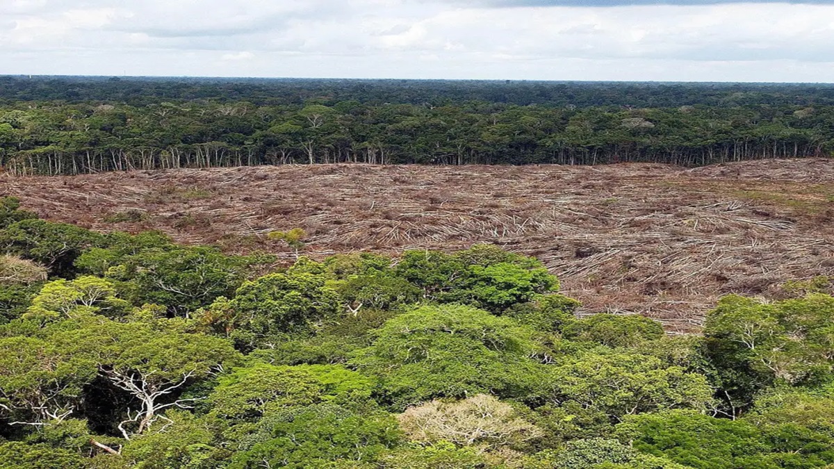 deforestacion Brasil EFE