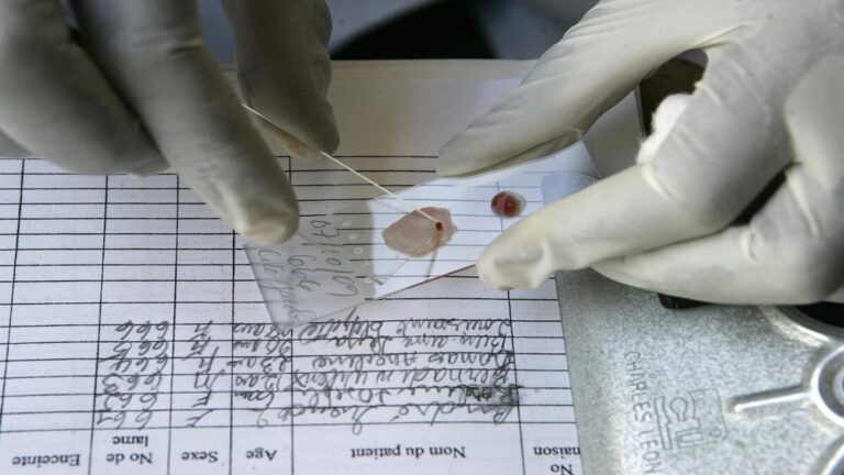 malaria