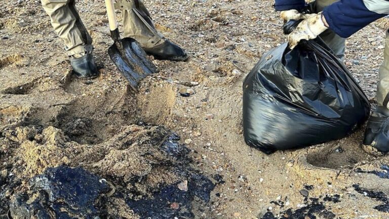 Autoridades de región rusa afectada por derrame de fuel limpiarán la contaminación antes de marzo 1 petroleo