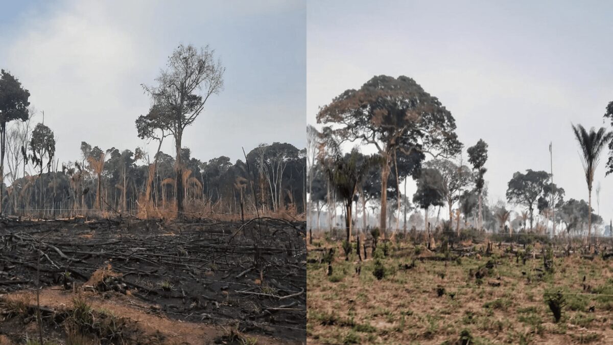 Humo en el estado brasileño de Pará revela impacto de incendios en la Amazonía 6 quema