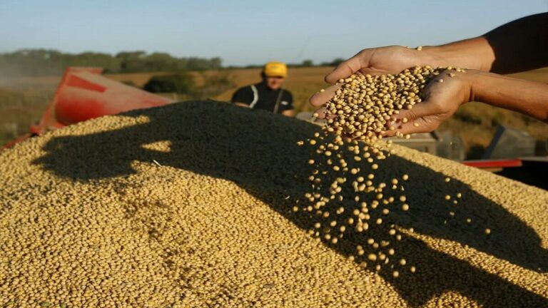 Empresarios agrícolas exigen a presidente Milei accionar ante crisis económica en Argentina 1 argentinaaaa