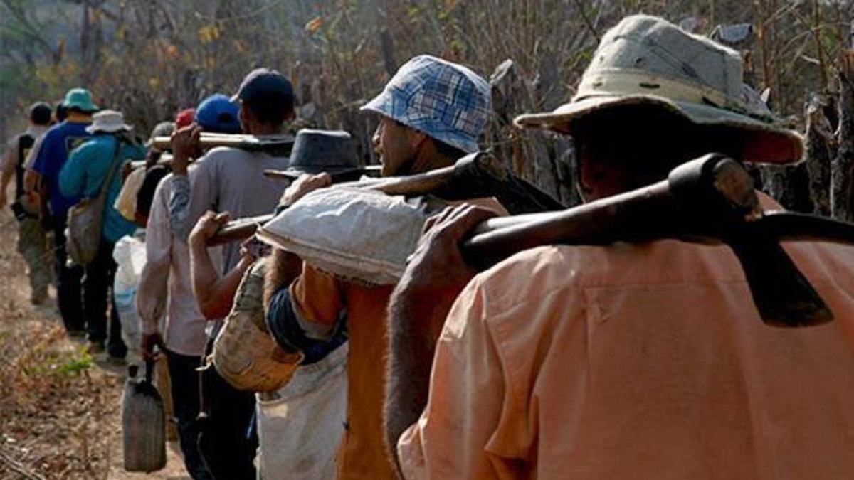 brasil trabajo esclavo foto pl